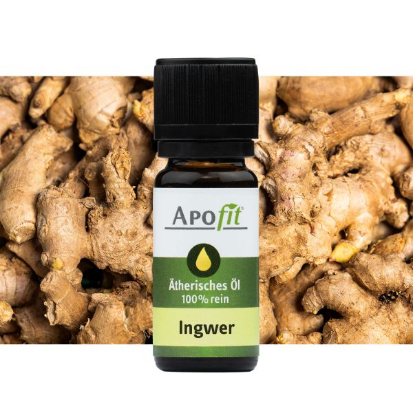 Ätherisches Öl Ingwer 10 ml von APOfit – mit Banderole Ingwer Wurzel