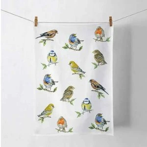 Ambiente Küchenhandtuch Bird Species 50x70 cm – an einer Leine hängendes Geschirrtuch mit heimischen Vögeln auf Zweigen
