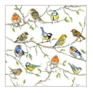 Ambiente Servietten Bird Species 20 Stück – Serviette mit verschiedenen heimischen Vögeln wie Rotkehlchen, Blaumeisen und Finken auf Zweigen